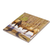 雪の中で2~2ブルエルク タイル (側面)