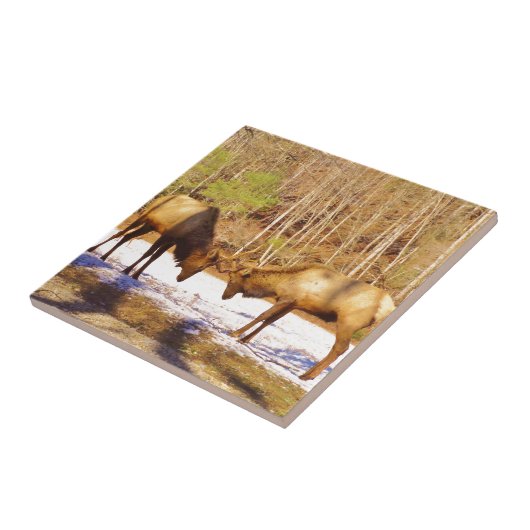 雪の中で2～2ブルエルク タイル (側面)