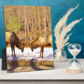 雪の中で2～2ブルエルク フォトプラーク (側面)