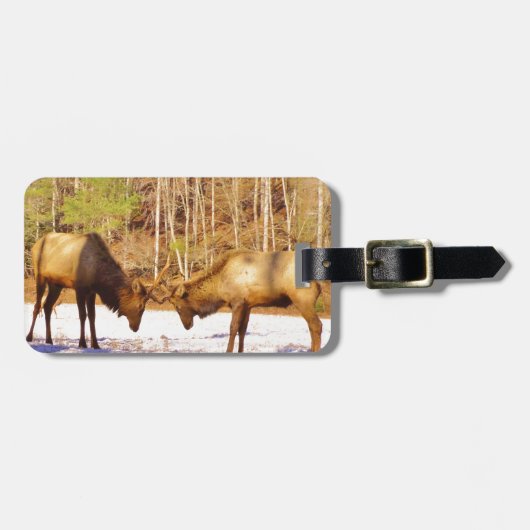 雪の中で2～2ブルエルク ラゲッジタグ (正面横)