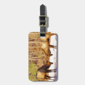 雪の中で2～2ブルエルク ラゲッジタグ (正面縦)