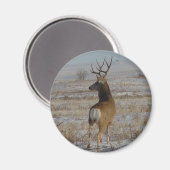 雪の中でD20ミューレディアバック マグネット (正面/裏面)