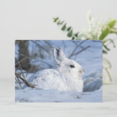 雪の中にいるカユウウチワウサギ シーズンカード (スタンド正面)