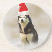 雪の中にサンタハットを持つシベリアのハスキー犬 コースター (正面)