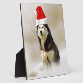 雪の中にサンタハットを持つシベリアのハスキー犬 フォトプラーク (側面)