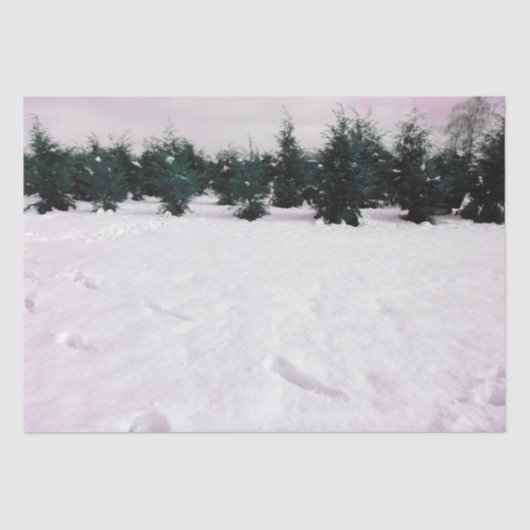 雪の中にヒバリのある冬の風景 薄葉紙 (正面)