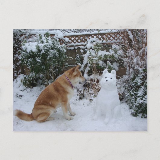 雪の中に座ったかわいい秋田と雪だるま犬の写真 ポストカード (正面)