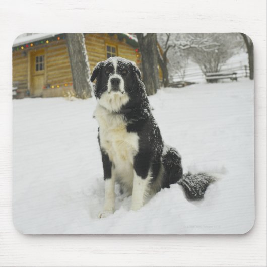 雪の中に座った犬がログキャビンを後ろに置いて マウスパッド (正面)