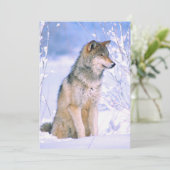 雪の中に座っているティングラオカミ シーズンカード (スタンド正面)