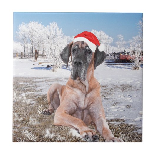 雪の中に座るグレートデーンの犬 クリスマス帽子 タイル (正面)