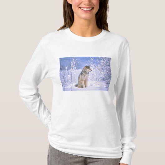 雪の中に座るタインバーウルフ、タイセイハイイロオオカミ、 Tシャツ (正面)