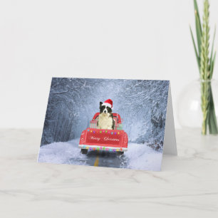 雪の中に座るボーダーコリーの犬のクリスマス, カード