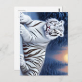 雪の中に座る白い虎 ポストカード (正面/裏面)