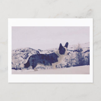 雪の中に犬の休日はがき シーズンポストカード