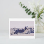 雪の中に犬の休日はがき シーズンポストカード (スタンド正面)