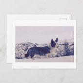 雪の中に犬の休日はがき シーズンポストカード (正面/裏面)