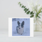 雪の中に犬の休日はがき シーズンポストカード (スタンド正面)