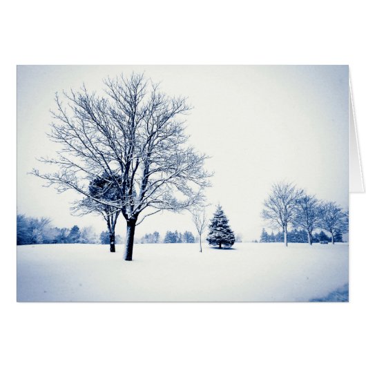 雪の中に立つこと (正面横)