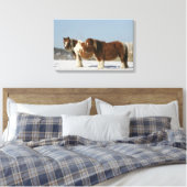 雪の中に立つミニチュアの馬 キャンバスプリント (インサイチュ (寝室))