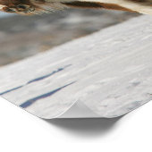 雪の中に立つミニチュアの馬 ポスター (角)