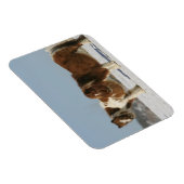 雪の中に立つミニチュアの馬 マグネット (右側)