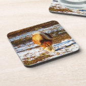 雪の中に茶色とクリームのミニチュアホース。 コースター (左側)