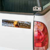 雪の中に茶色とクリームのミニチュアホース。 バンパーステッカー (トラック上)