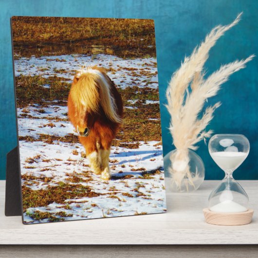 雪の中に茶色とクリームのミニチュアホース。 フォトプラーク (側面)