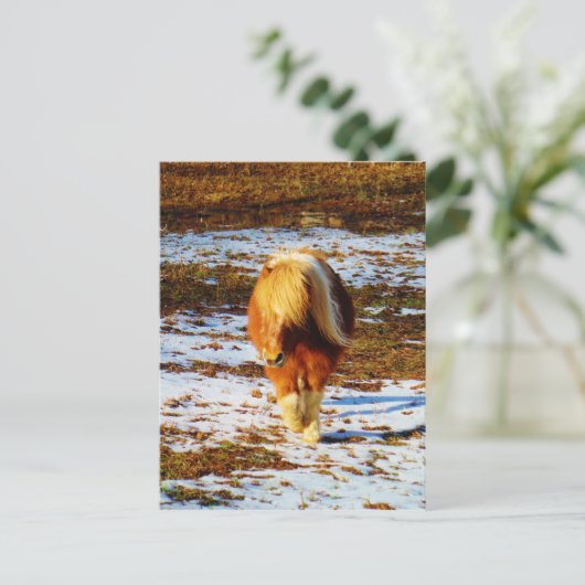 雪の中に茶色とクリームのミニチュアホース。 ポストカード (スタンド正面)