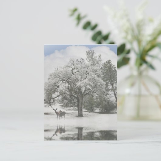 雪の中に鹿がいるクリスマスホリデーポストカード シーズンポストカード (スタンド正面)