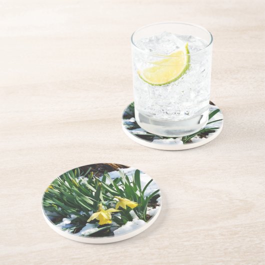 雪の中に黄色の水仙の花 コースター (側面)