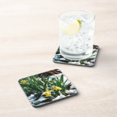 雪の中に黄色の水仙の花 コースター (右側)