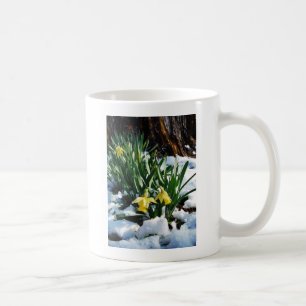 雪の中に黄色の水仙の花 コーヒーマグカップ