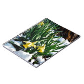 雪の中に黄色の水仙の花 ノートブック (左側)