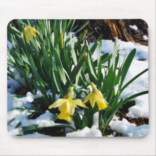 雪の中に黄色の水仙の花 マウスパッド