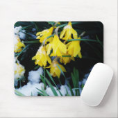 雪の中に黄色の水仙の花 マウスパッド (マウス)