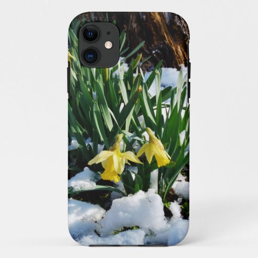 雪の中に黄色の水仙の花 Case-Mate iPhoneケース (裏面)