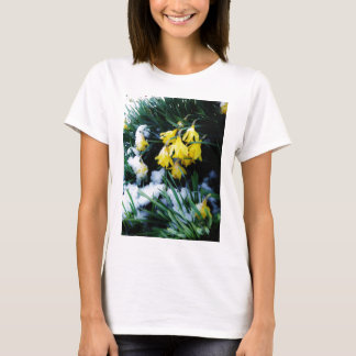 雪の中に黄色の水仙の花 Tシャツ