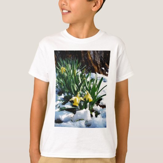 雪の中に黄色の水仙の花 Tシャツ (正面)