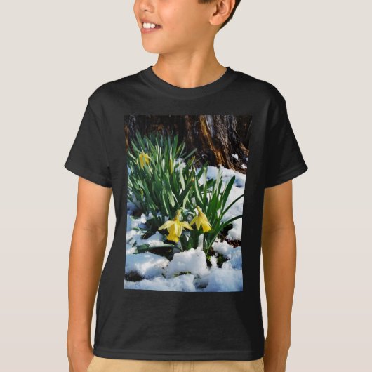 雪の中に黄色の水仙の花 Tシャツ (正面)