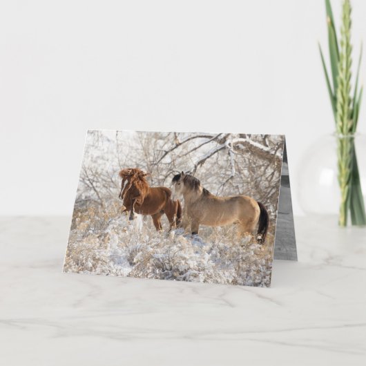 雪の中に2匹の牡馬-野生の馬の挨拶状 カード (正面)
