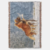 雪の中のアイスラン遊ドの馬のフォールおもしろいの写真 スローブランケット (正面縦)