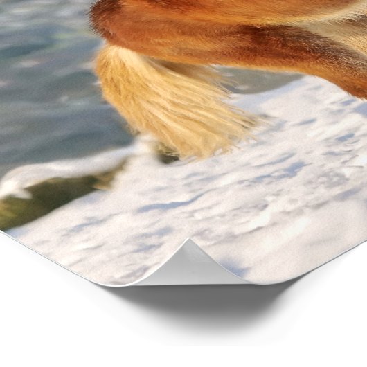 雪の中のアイスラン遊ドの馬のフォールおもしろいの写真 ポスター (角)