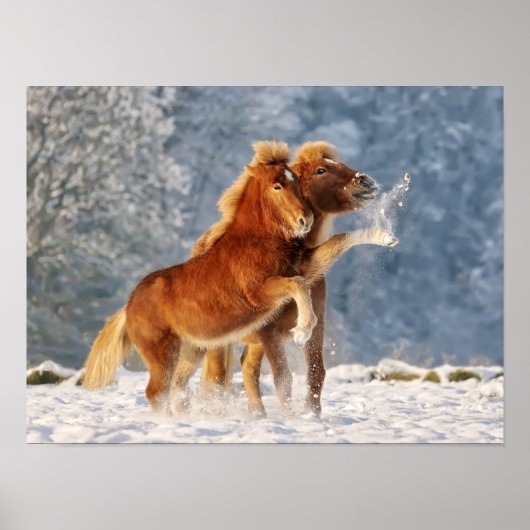 雪の中のアイスラン遊ドの馬のフォールおもしろいの写真 ポスター (正面)