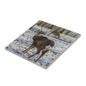 雪の中のアカシカ タイル (側面)