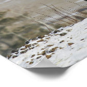 雪の中のアパルーサ馬 ポスター (角)