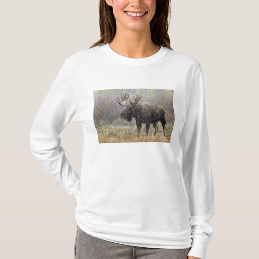 雪の中のアメリカヘラジカとポプラの木 Tシャツ (正面)
