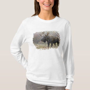 雪の中のアメリカヘラジカとポプラの木 Tシャツ