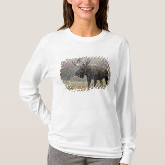 雪の中のアメリカヘラジカとポプラの木 Tシャツ (正面)