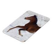 雪の中のアラブ人の群れ マグネット (左側)